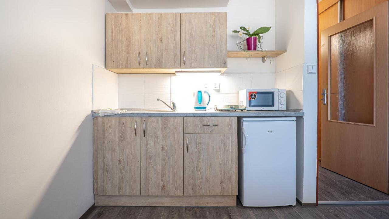 Apartmany A Studia Zamecky Park Litvínov المظهر الخارجي الصورة